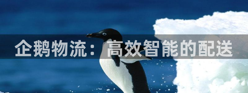 多多28下载二维码怎么弄