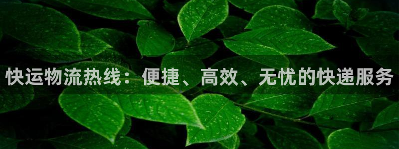 多多28登录用户名登录不上：快运物流热线：便捷、高效、无忧的