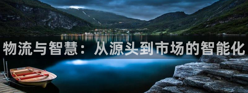 多多28官网入口pc预测：物流与智慧