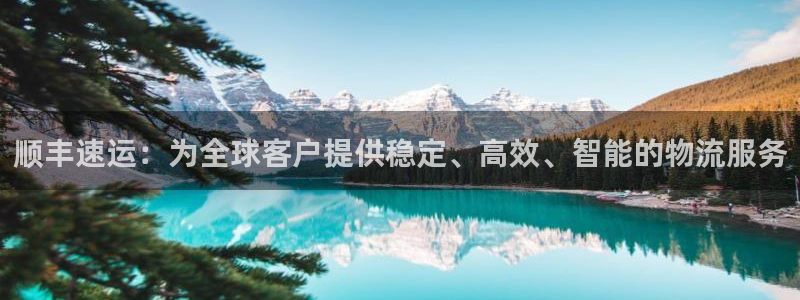 多多28官方官网版
