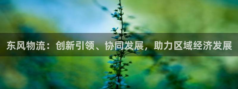 多多28官网下载链接是什么：东风物流