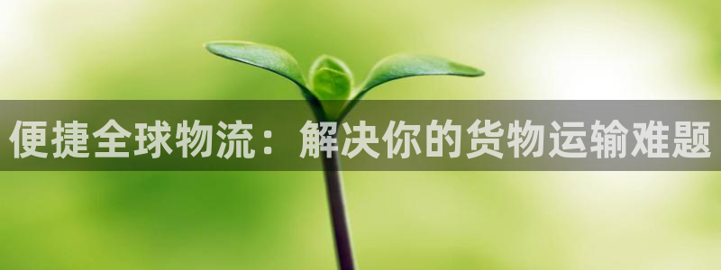 多多28玩法：便捷全球物流：解决你的