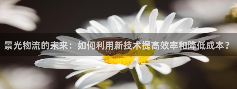 多多28加拿大模拟器