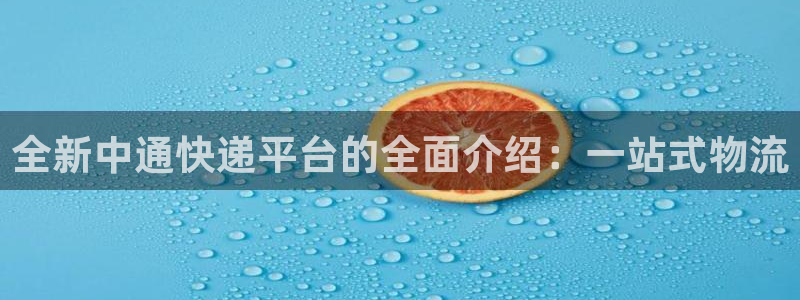 多多28分分28预测