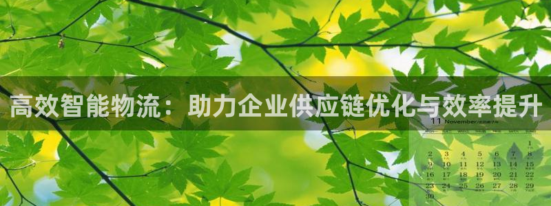 多多28怎么注册账号：高效智能物流：助力企业供应链优化与效率