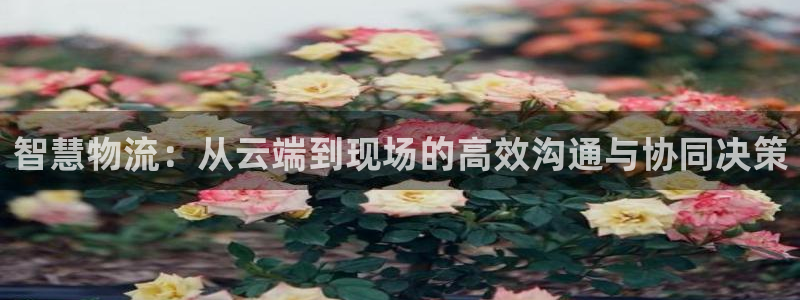 多多28注册教程：智慧物流：从云端到