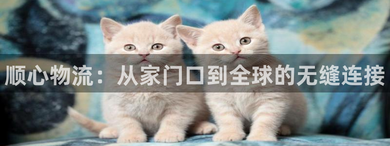 多多28官网入口南宫：顺心物流：从家