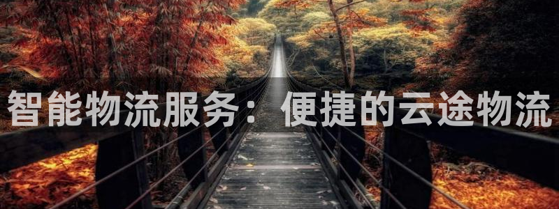 多多28软件是诈骗吗：智能物流服务：