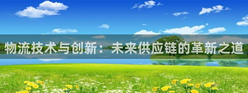 多多28网站平台是多少：物流技术与创新：未来供应链的革新之道