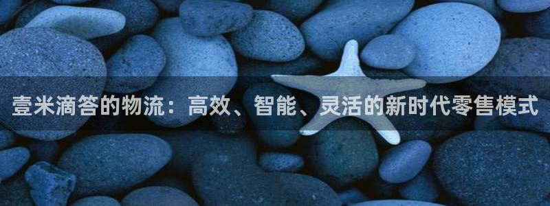 多多28：壹米滴答的物流：高效、智能