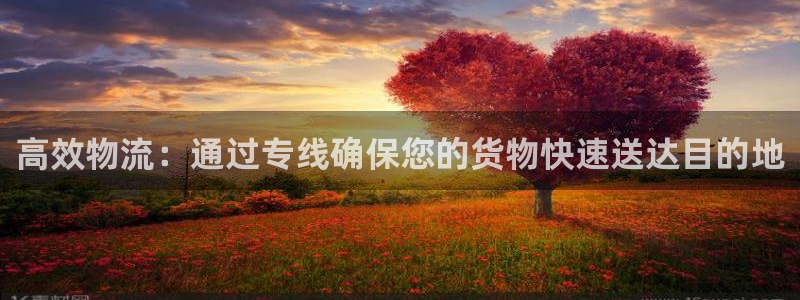 多多28官网入口pcios：高效物流