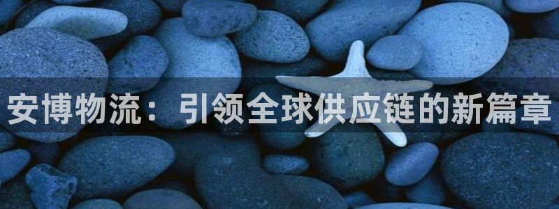 多多28官网入口正版：安博物流：引领