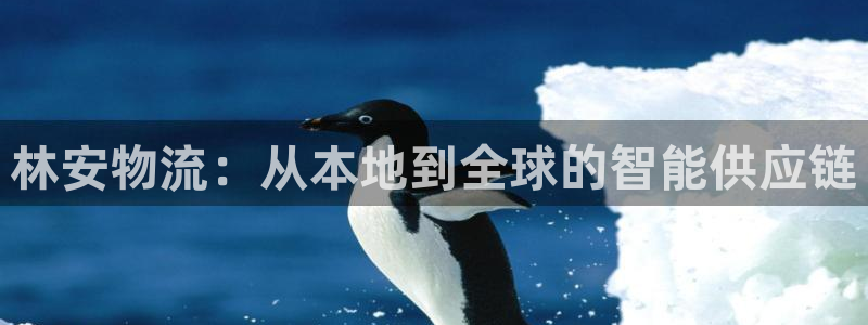 多多28推广链接是多少