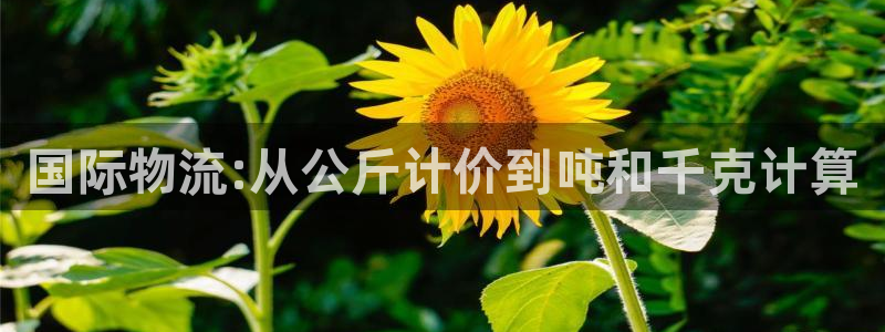 多多28加拿大是什么：国际物流:从公