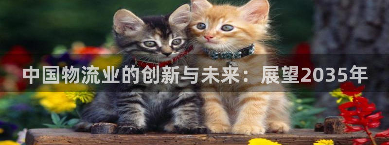 多多28电子：中国物流业的创新与未来