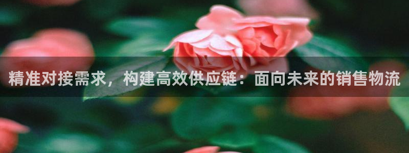 加拿大多多28数字规则：精准对接需求
