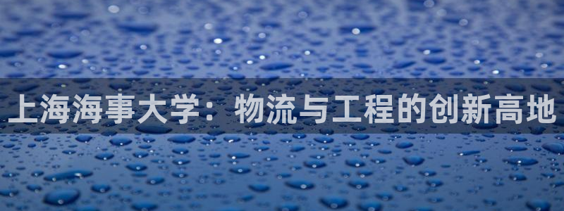 多多28电子：上海海事大学：物流与工