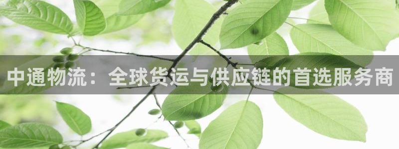 多多28官网下载多少钱一个：中通物流