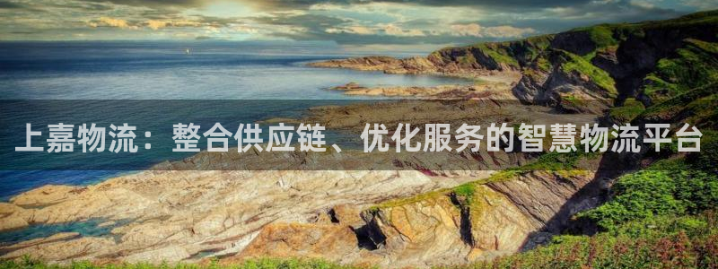 多多28软件是什么：上嘉物流：整合供