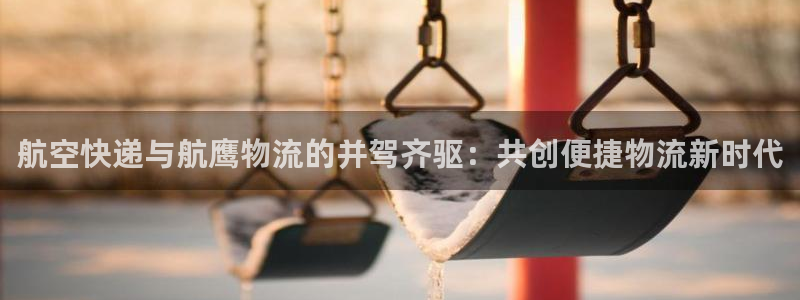 多多28注册二维码：航空快递与航鹰物