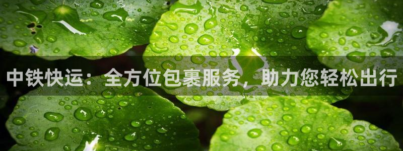 多多28app怎么注册账号：中铁快运