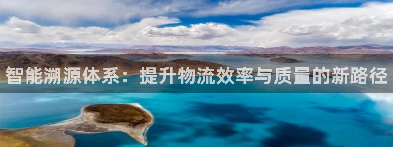 多多28注册登录流程：智能溯源体系：提升物流效率与质量的新路