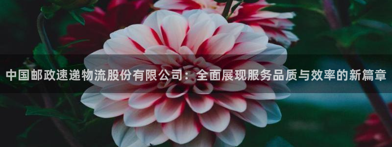 多多28充值为什么充不了