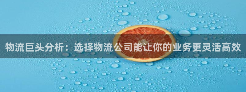多多28链接：物流巨头分析：选择物流