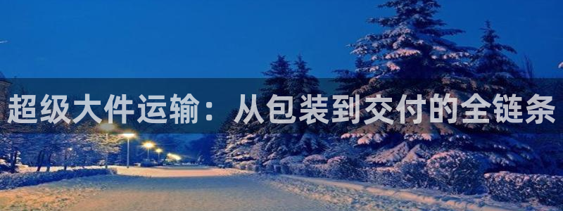 多多28是啥:超级大件运输:从包装到