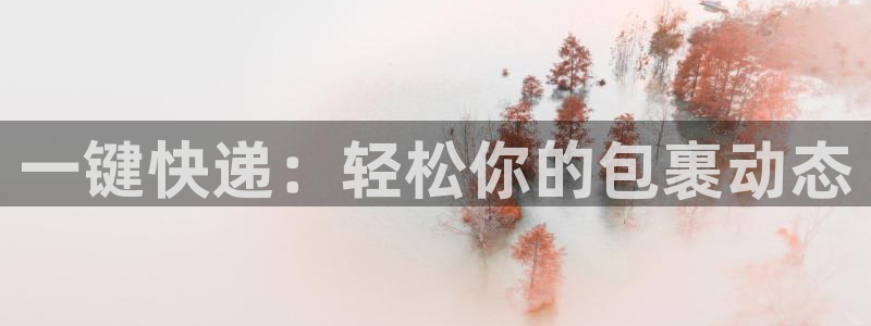 多多28是正规软件吗：一键快递：轻松你的包裹动态