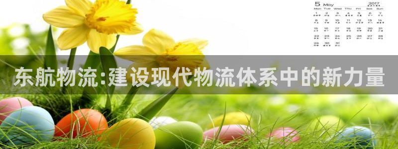 多多28百度百科：东航物流:建设现代