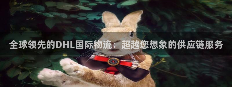 多多28反水什么时候到：全球领先的D