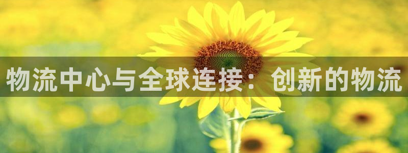 多多28圈助手：物流中心与全球连接：