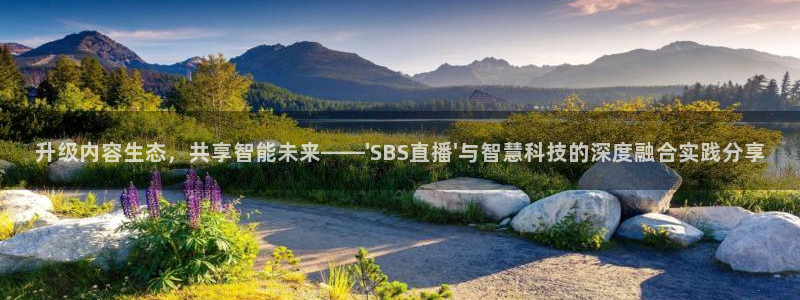 乐球直播高清：升级内容生态，共享智能未来——\'SBS直播\'与智慧科技的深度融合实践分享